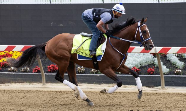 Mystik Dan to try turf in Arlington Million