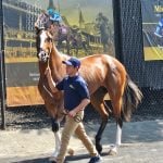 Fasig-Tipton