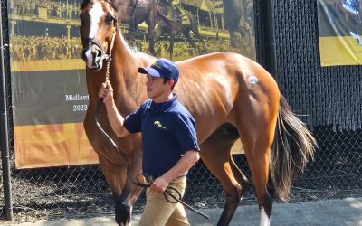 Fasig-Tipton shifts May sale schedule