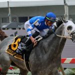 VIDEO: Preakness picks and analysis