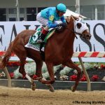 Pyrenees rallies late to summit Pimlico Special