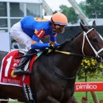 The Grey Wizard hopes to conjure up Cape Henlopen win