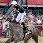 Seize the Grey takes initiative in Preakness upset