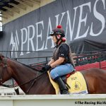 Laurel Park picks and ponderings: November 16, 2024