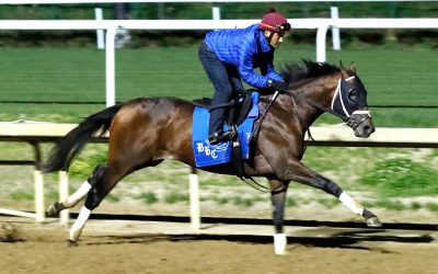 Catching Freedom will contest the Preakness