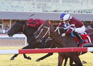 First World War-Penn Mile