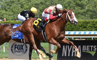 Belmont could be “great experience” for Antiquarian