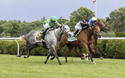 Md-bred Future Is Now seeks Incontinental repeat