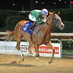 Fasig-Tipton June sale last call for 2yo sales