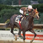 Fasig-Tipton June sale set for Tuesday