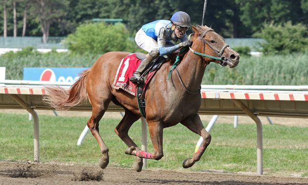 Reclusive gives jockey Chris Elliott first stakes win