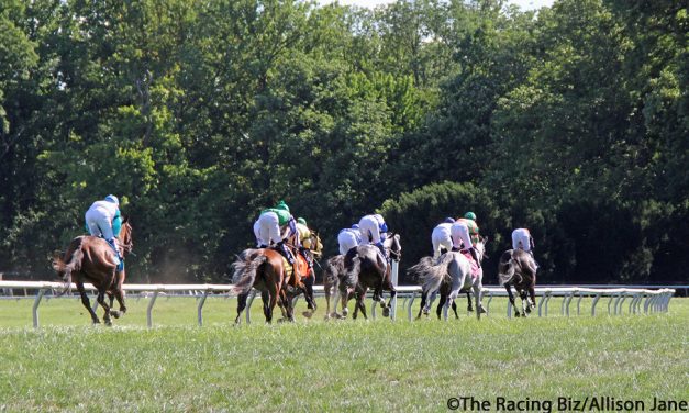 Delaware Park announces 75-day 2025 race schedule