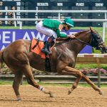 Reclusive gives jockey Chris Elliott first stakes win