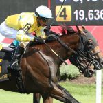 First win for trainer Scott Wolfendale