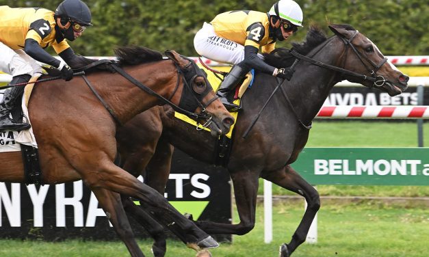 Dontlookbackatall hopes to see way to G3 Caress win