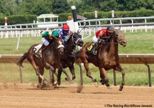 Night Cap Dashing Beauty