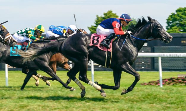 Delaware: Supporting stakes offer intrigue