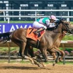 MTROA seeking to add community component to Preakness