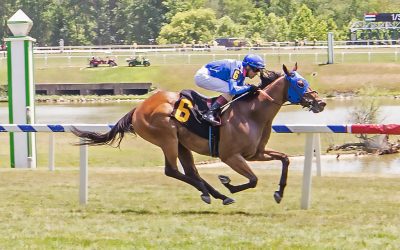 CNL: Repo Rocks, Determined Kingdom strong Friday faves
