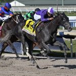 Midlantic-breds in Saratoga stakes August 3
