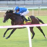 Nick’s Picks: Colonial Downs picks August 12, 2024