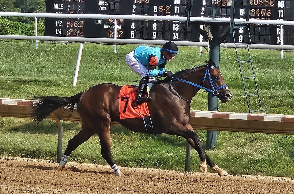 Re Markably, Caprice dominate Del-certified stakes