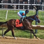Spa selections 2024: Saratoga picks August 15