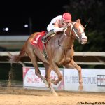 Spa selections 2024: Saratoga picks August 24