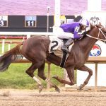 Delaware Park picks and analysis: September 21, 2024