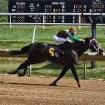 Delaware: Rocky Run an intriguing end to stakes schedule