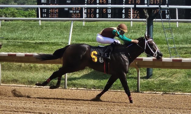 Caprice could cap banner season in Gin Talking