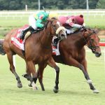 Siesta Key takes Kitten’s Joy thriller