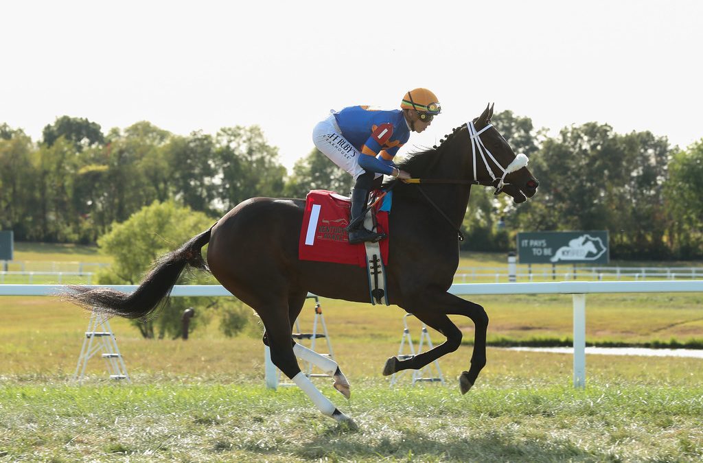 Stakes-placed juvenile tops Inglis Digital sale