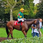 Delaware Park picks and analysis: September 19, 2024
