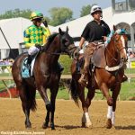 Maryland stallion season auction starts Feb. 9