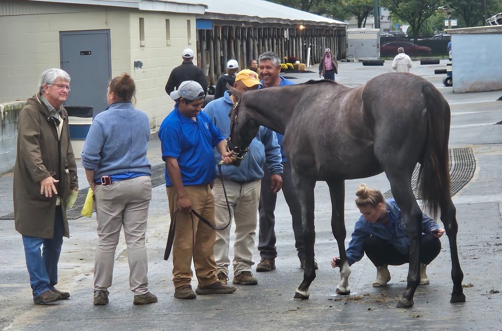 Smaller Fasig-Tipton yearling sale topped by Maryland-bred