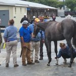 Delaware Park picks and analysis: October 2, 2024