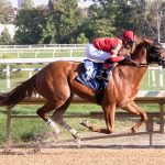 Caprice appears formidable in White Clay Creek