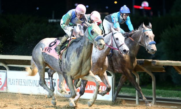 Runaldo up late to win Sam Huff WV Breeders Classic