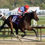 OwnerView webinar tackles state-bred incentives