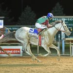 Laurel Park picks and ponderings: November 10, 2024