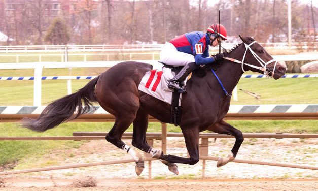 Ms Notion looks for second win in Maryland Juvenile Filly