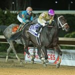 Laurel Park picks and ponderings: November 17, 2024