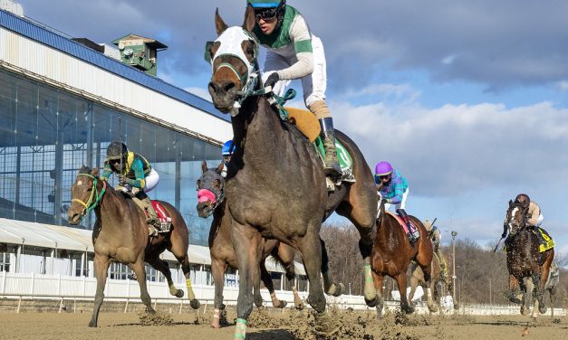 Laurel: Spencerian tepid favorite in Conniver