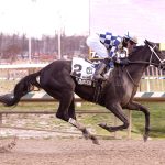 Laurel Park picks and ponderings: February 14, 2025