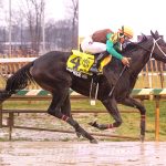 Laurel Park picks and ponderings: December 29, 2024