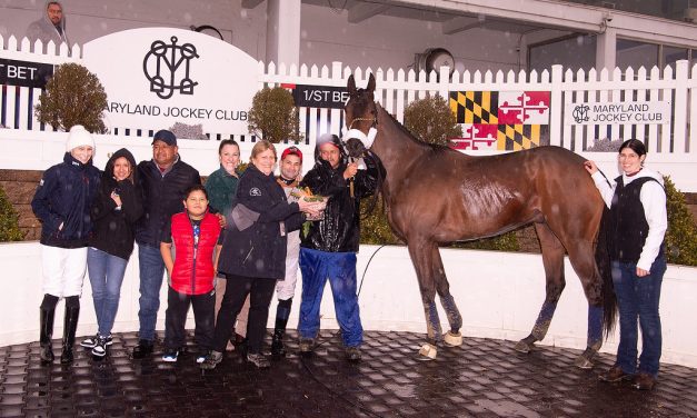 Clubman, 10, retired after 20th victory