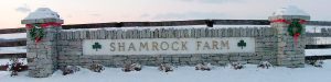Shamrock Farm sign