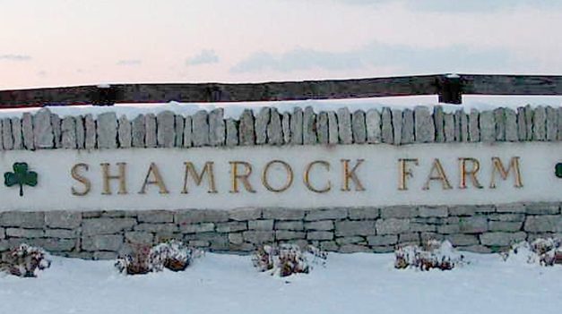 Shamrock Farm chosen as new Maryland training center