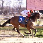 Derby runner Sandman arrives at Churchill Downs